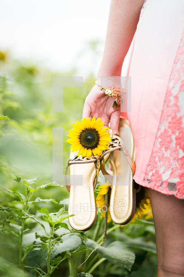 woman carrying sandals through a field of sunflowers 