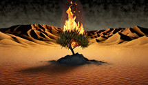 Burning Bush Illustration in a Desert