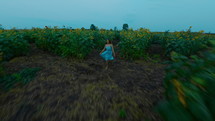 Dancing in a sunflower maze (FPV Drone)