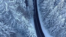 Aerial drone shot Over Snow Covered Trees In A winter Forest.