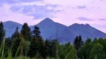 Summer mountain forest landscape, trees and grass in the foreground, mountains in the background