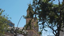 Tree Branches Swaying With Partial View Of Metropolitan Cathedral Basilica of Bogotá In Background On Clear Day