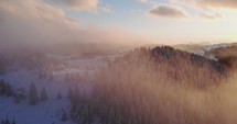 Aerial Drone Shot of Rolling Clouds At Dense Spruce Forest On Snowy White Hill Slope In Winter During Sunset. 
