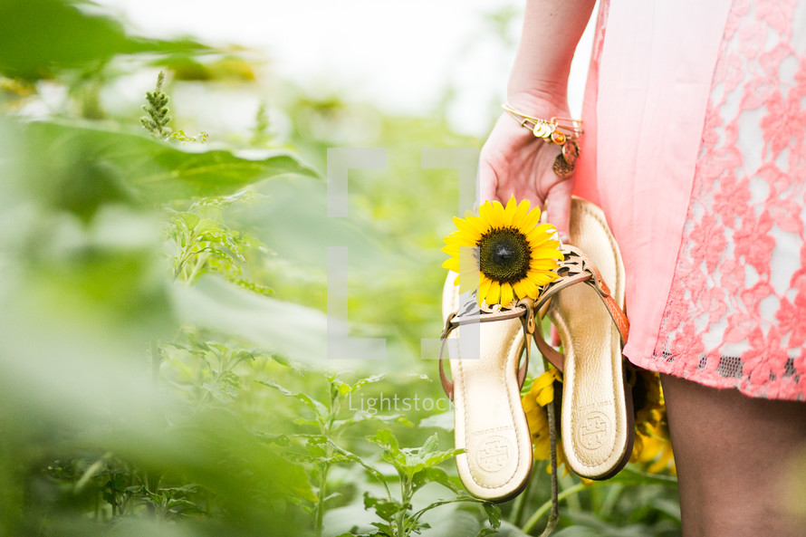 a woman carrying sandals through a field of sunflowers 