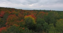 Lake Michigan Aerial Fall Color Flyover