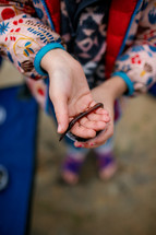Little girl's hands holding a worm 