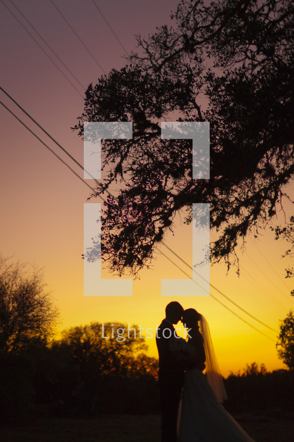 Silhouette of a recently married couple beneath an oak tree
