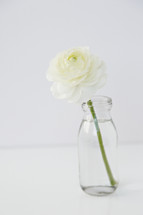 white flower in a clear vase