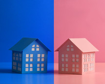 A pink house and blue house are standing side by side for a youth gender concept or gender identity symbol.