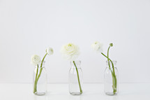 white flowers in clear vases 