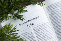 open Bible turned to Luke with greenery 