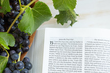 grapes and scripture 