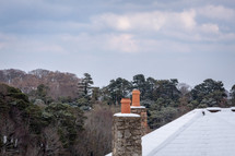 Snow on a Rooftop Overlooking a Winter Woodland