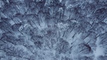 Snowy forest in winter aerial