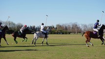 Argentina October 2023: Match on a horse in a polo club. Riders make a hit on a white ball on green grass. Players hit the ball a wooden stick to polo. Luxury game, slow motion.
