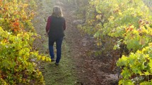 A woman walking through a vineyard