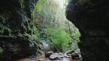 Moving through a tropical forest with a large canyon at the front and a lush coloration that can be found in a rainforest only
