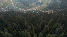 Spruce forest in the mountain village