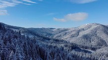 Drone Descends Revealed Snow Covered Trees On Mountains. Aerial Shot