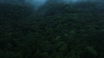 Aerial low level clouds over misty forest