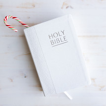 candy cane in a Bible 