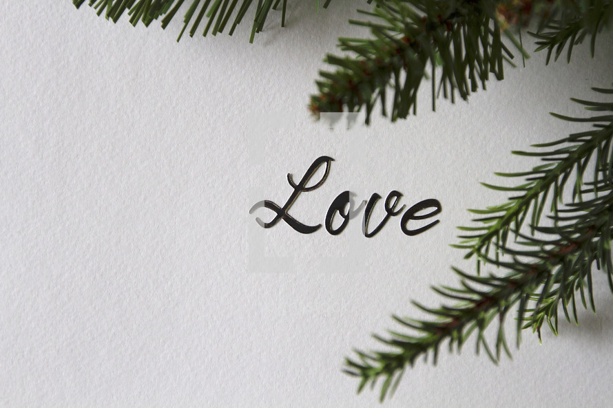 Love and pine branches 
