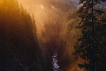 Wallace falls and sunlight shining on trees in a forest 