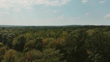 Drone over woods and trees in the fall with a beautiful blue sky.