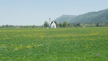 white church and poppy fields in Germany 