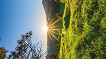 Vertical Sunrise in green spring nature with grassy meadow in forest landscape Time-lapse 4k panorama
