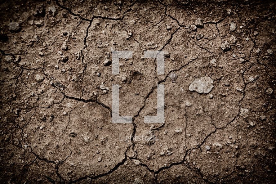 cracked desert soil 
