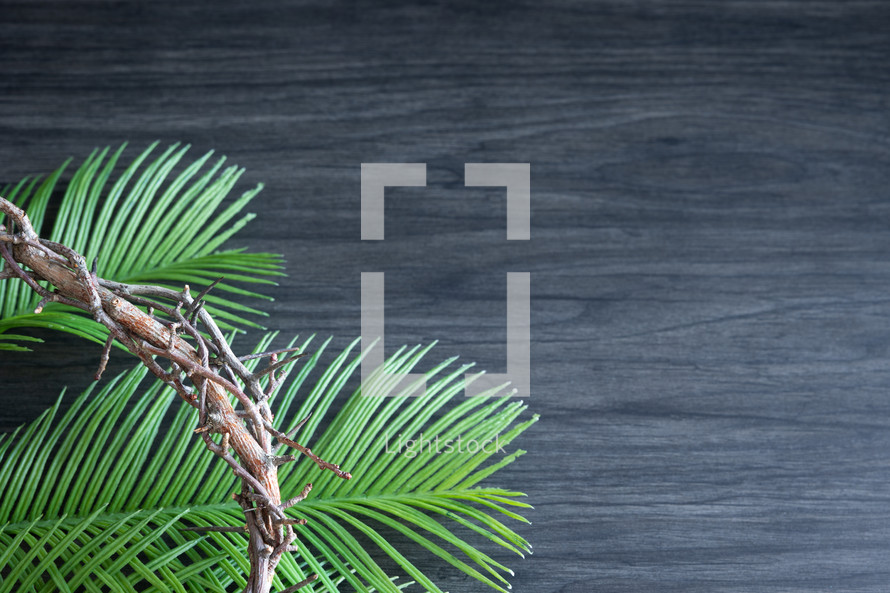 Crown of thorns laying on palm leaves on a dark wood background