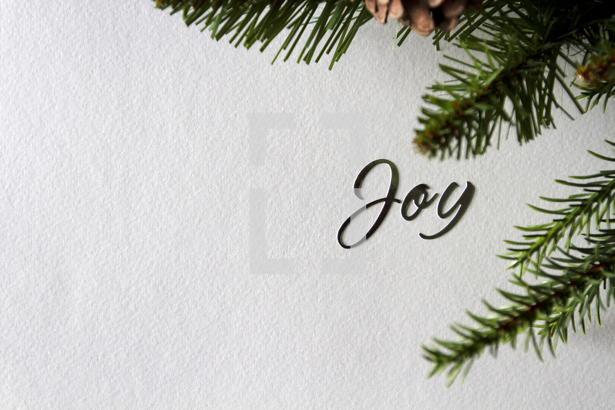 Joy and pine branches 