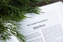 open Bible turned to Matthew with greenery 