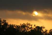 Sun emerging from clouds over silhouetted trees at sunset