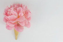 pink spring flower in an ice cream 
