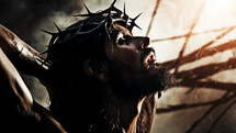 Jesus Christ In Cross Suffering With Crown