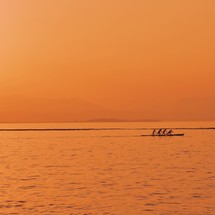 rowing at boat on golden water at sunset 
