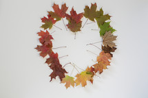 fall leaves in a heart shape 