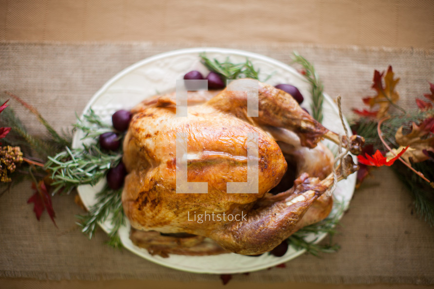 Thanksgiving turkey 