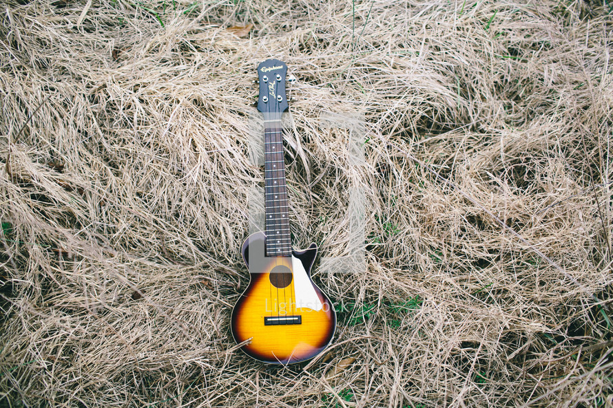guitar lying in dead grass