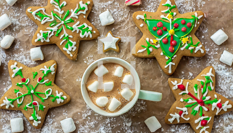 Hot cocoa and marshmallows with decorated cookies