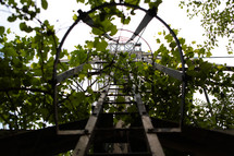 Metal archway covered in green vines 