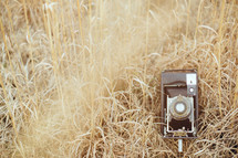 vintage camera in tall brown grasses 