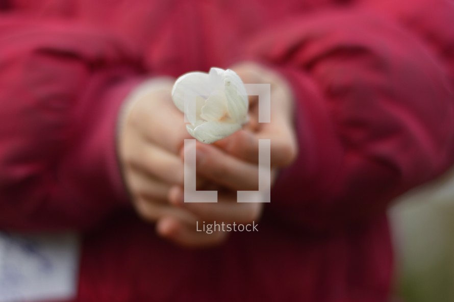 a child holding a white flower 