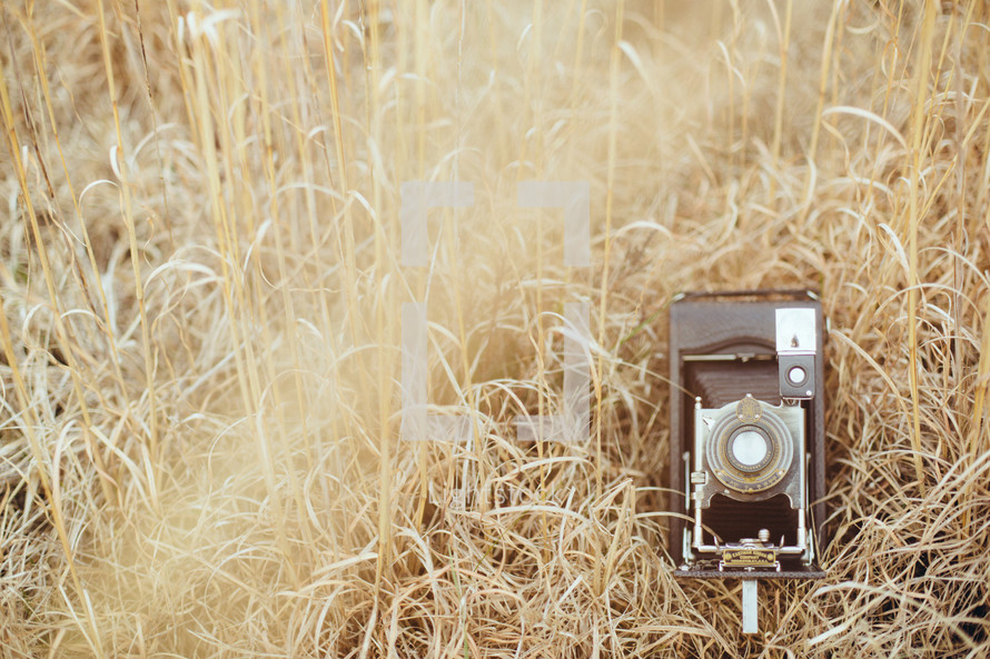 vintage camera in tall brown grasses 