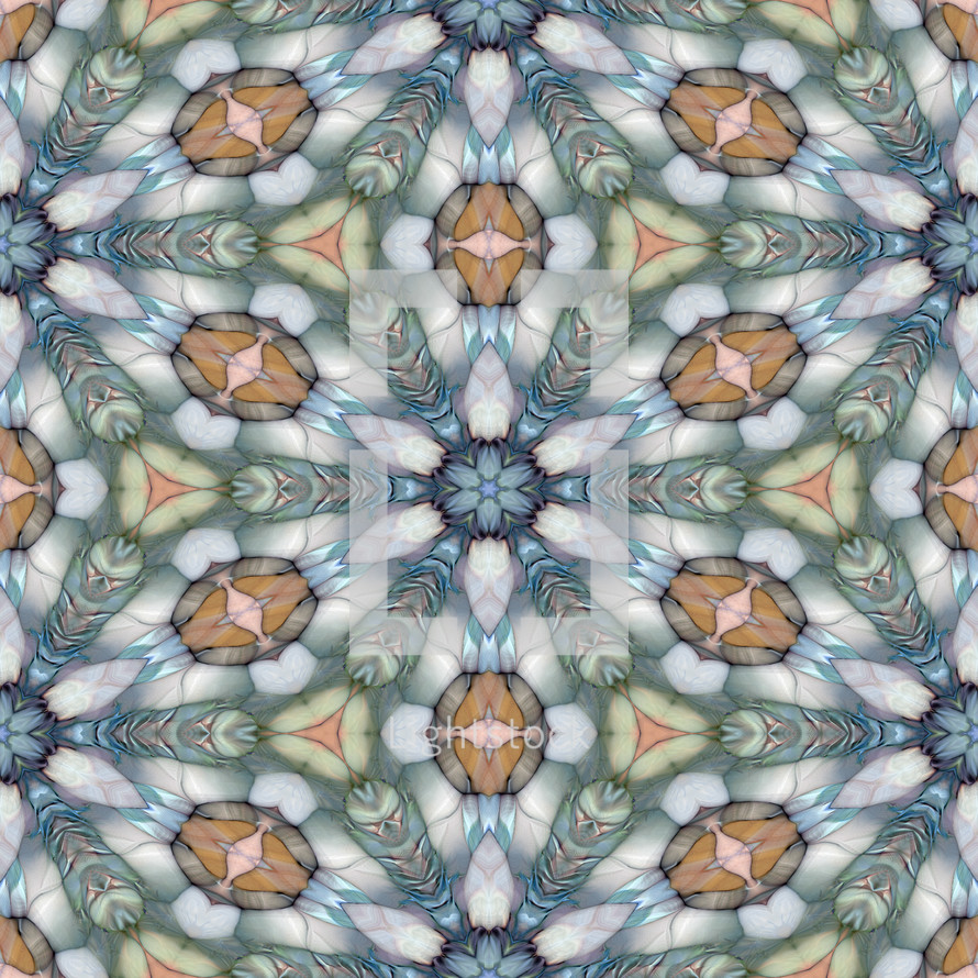 kaleidoscopic view 