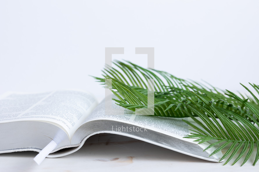 palm fronds and open Bible 