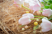 tulips and pastel Easter eggs in straw 