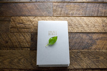 A green leaf on the front of a white Bible on a wooden table.